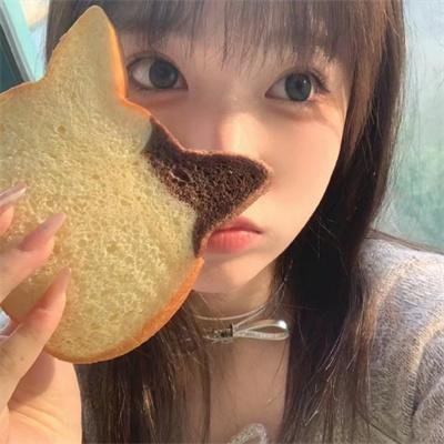 义胆骑士